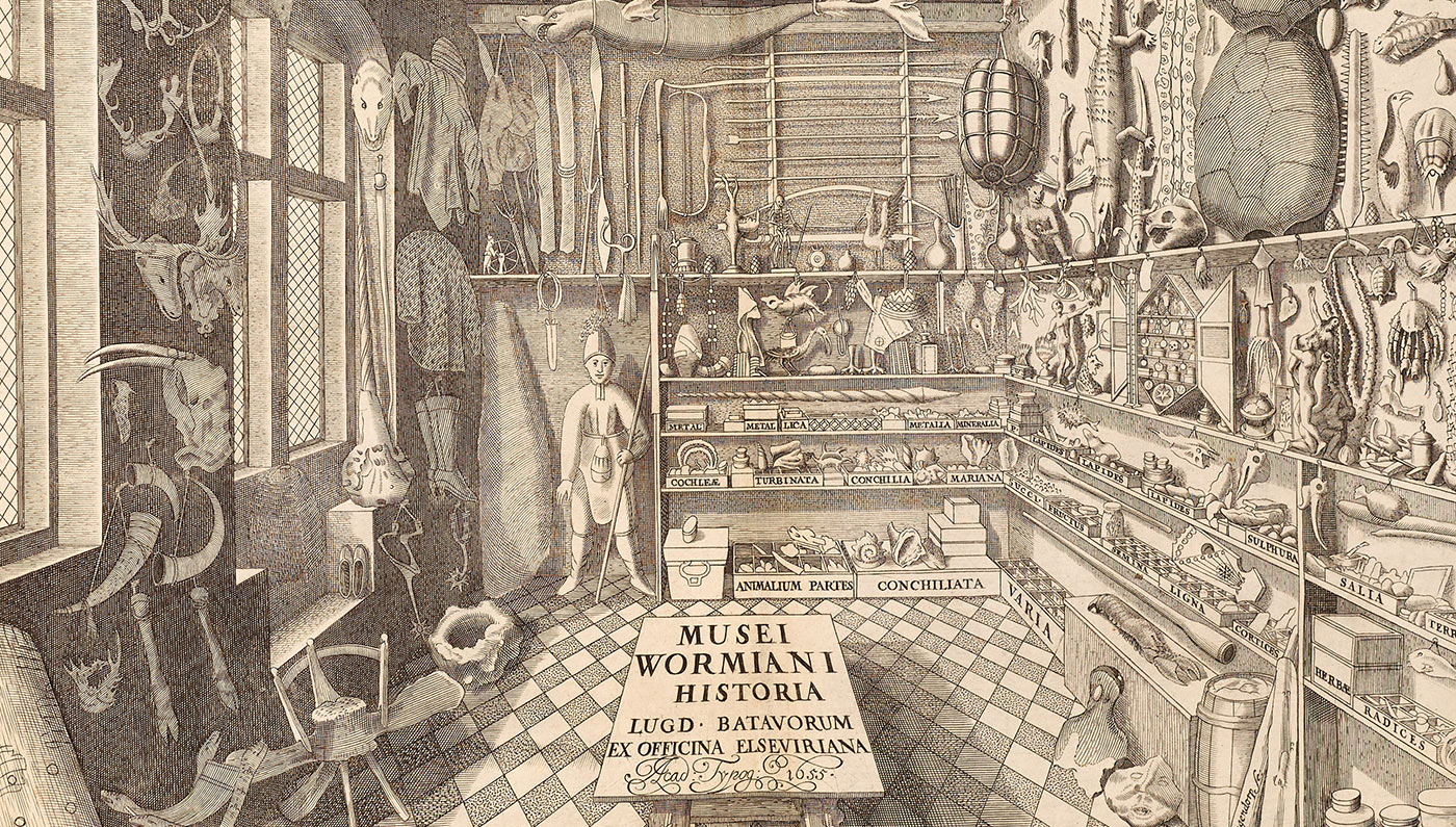 Biblioteca degli Antichi